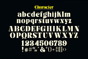 Crobista, a Sans Serif Font by Gatype (Thumbnail 9 of 14)