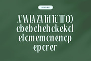 Repslag Brocker Luxury Serif Font, a Serif Font by timelesstype.co (Thumbnail 17 of 20)