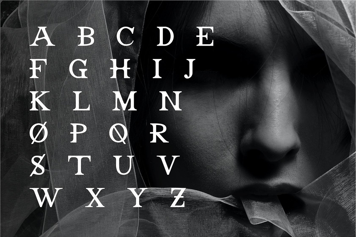 Leoni | Modern Serif Font, a Serif Font by Muntab_Art (Photo 6 of 7)