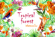 Exotic flowers watercolor clipart, an Animal Illustration by Where summer is (Thumbnail 1 of 7)