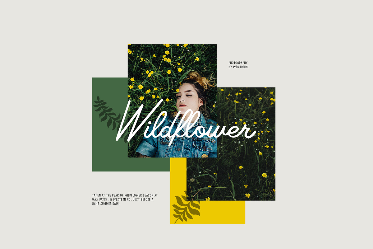 Rosinweed Font ( + Bonus Leaves ) preview 2