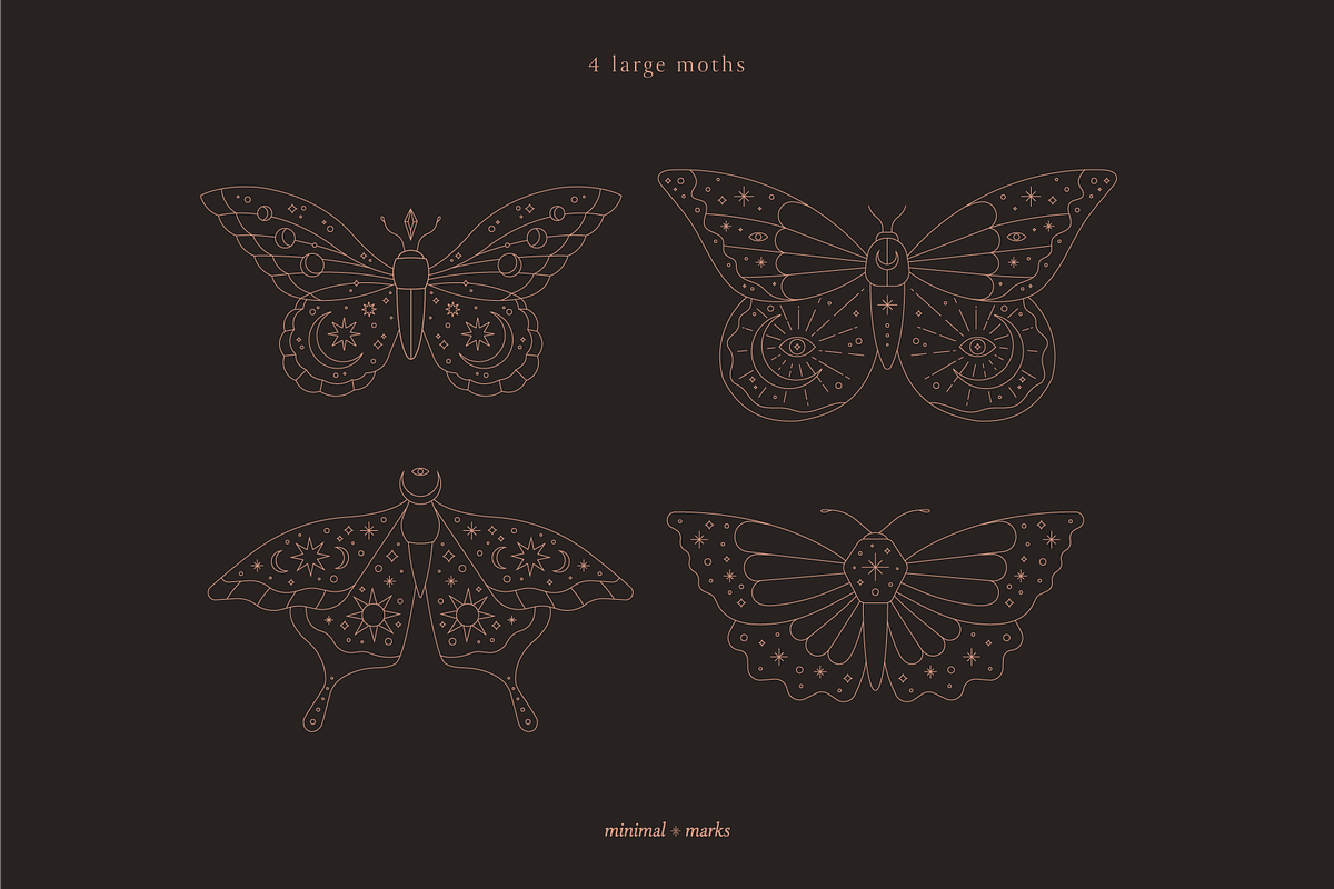 Celestial Moth & Butterfly Vectors, an Illustration by Minimal Marks (Photo 3 of 5)