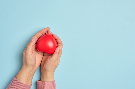 A woman's hand holds a red rubber heart on a blue background, sy, a Background Photo by ndanko