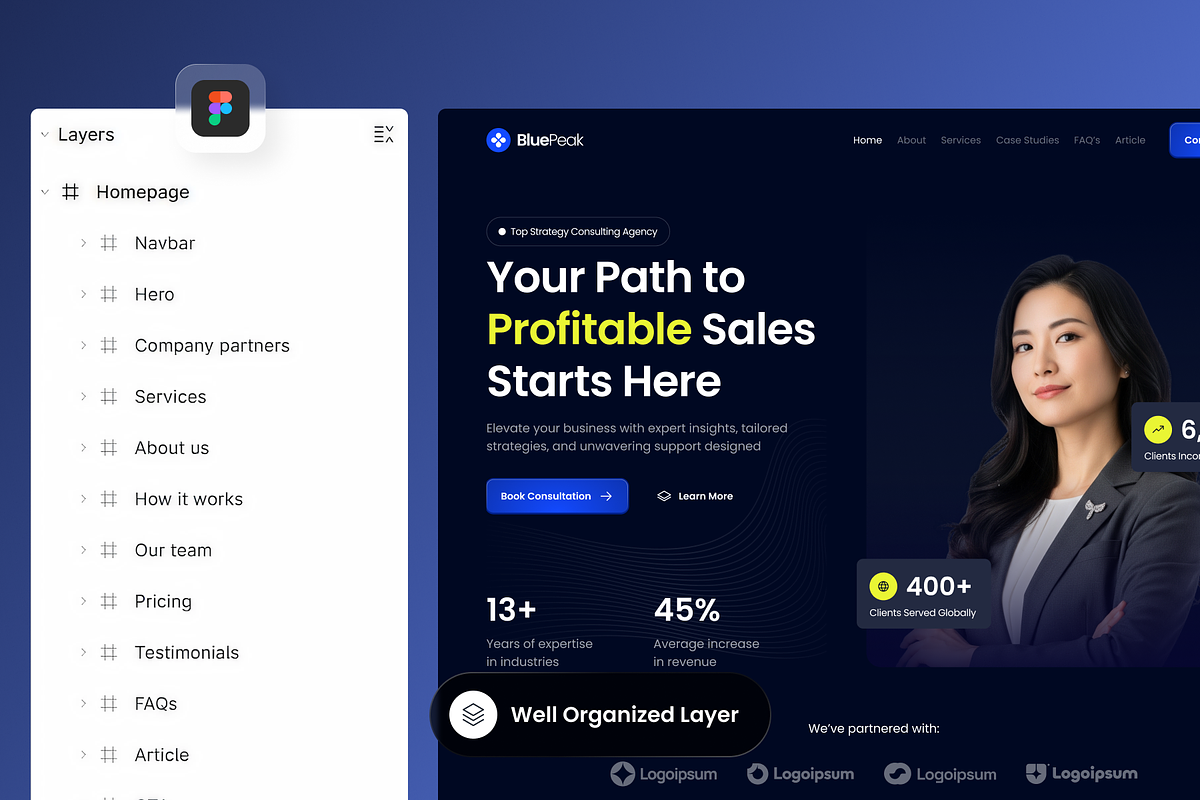 BluePeak - Strategy Consulting preview 2
