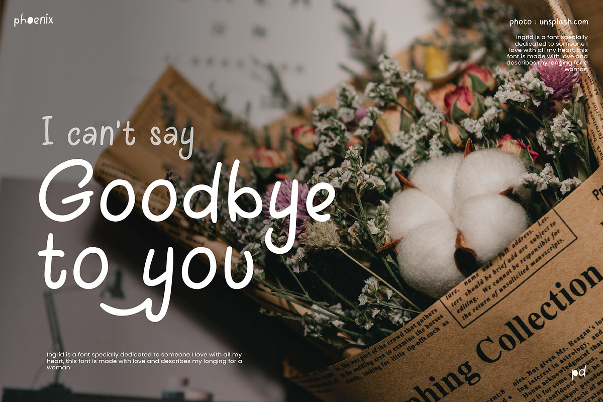 Ingrid Font, a Script Font by Phoenix Dungeon (Photo 3 of 9)