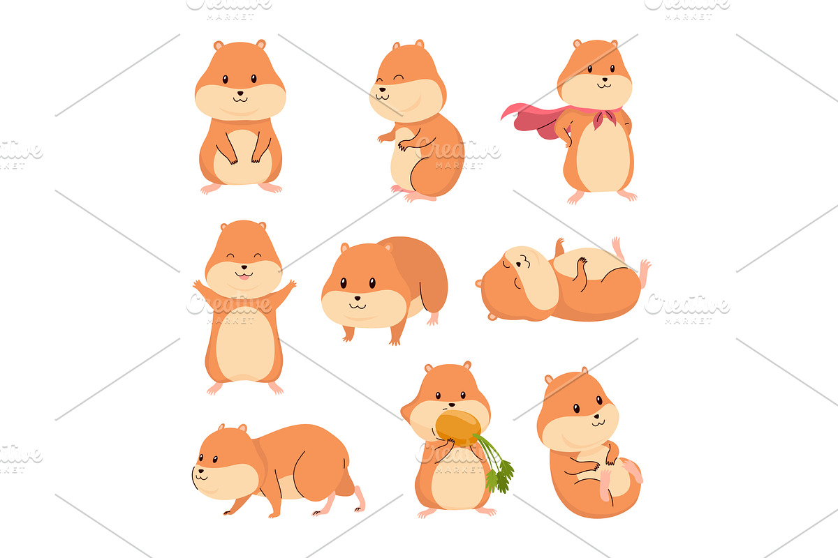 Cartoon hamsters set. Fluffy, an Animal Illustration by the8monkey
