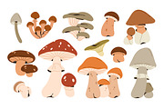 Autumn mushrooms, forest fungi set, a Food Illustration by Good Studio (Thumbnail 2 of 6)