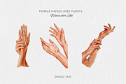 Female Hands and Plants Watercolor, a Person Illustration by Yakovleva Margarita (Thumbnail 3 of 9)