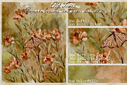 Old Times- Procreate Vintage Brushes, a Brush Add-On by BooStudio (Thumbnail 8 of 10)