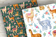Alpacas and llamas .Seamless pattern, a Pattern Graphic by MitrushovaArt (Thumbnail 5 of 8)