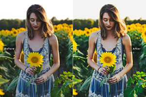 Jonquil Lightroom Presets Pack