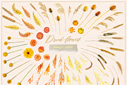 Dried flowers & wreaths, watercolor, an Illustration by Lore_V (Thumbnail 5 of 11)