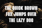 Mailgold - A Bold Sans Serif, a Sans Serif Font by TypeLogue (Thumbnail 2 of 5)