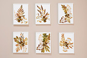 Botanical Bundle Nr 2 | Fall Edition, a Seasonal Illustration by Helga Wigandt (Thumbnail 9 of 9)