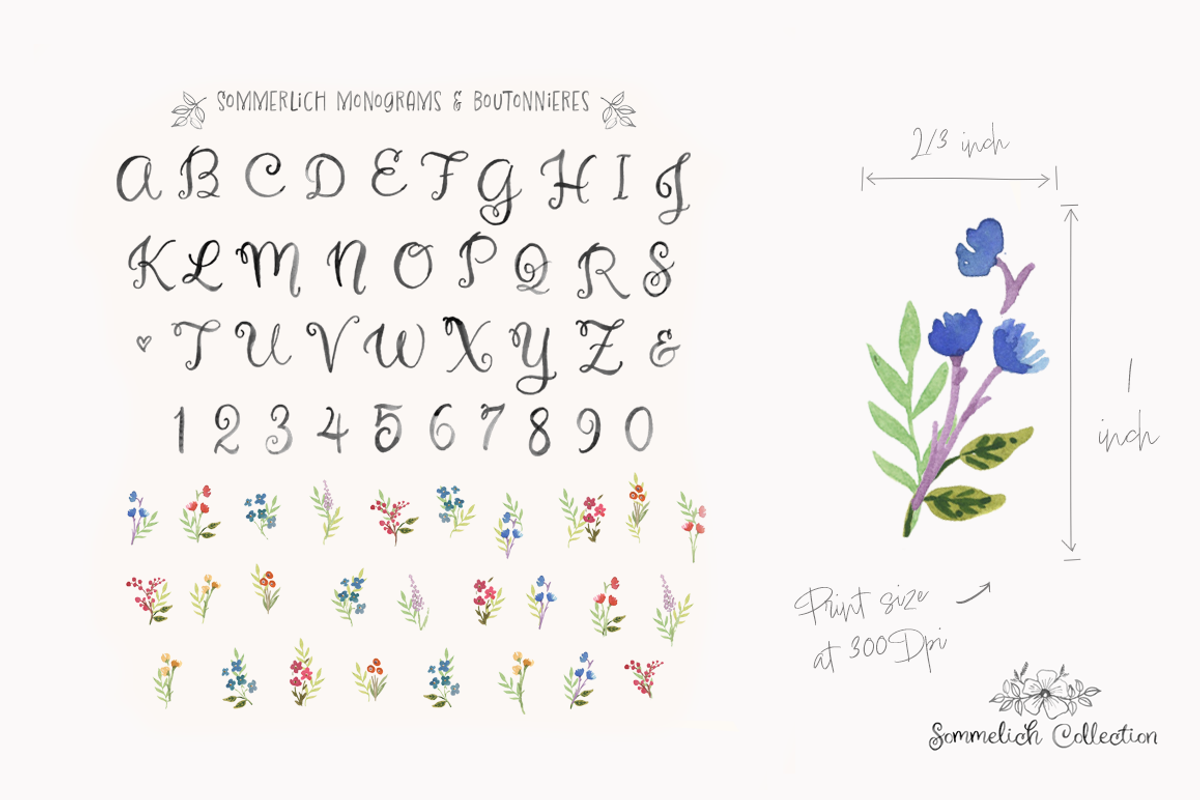 Sommerlich Expanded Collection, an Illustration by KLUGE+CO (Photo 5 of 11)
