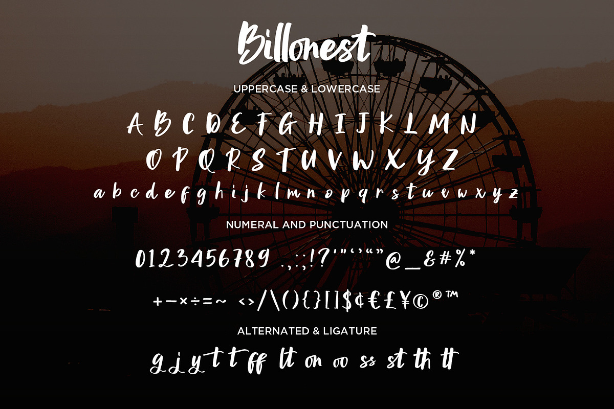 Billonest - Modern Script fonts, a Script Font by Nahar_std (Photo 8 of 8)