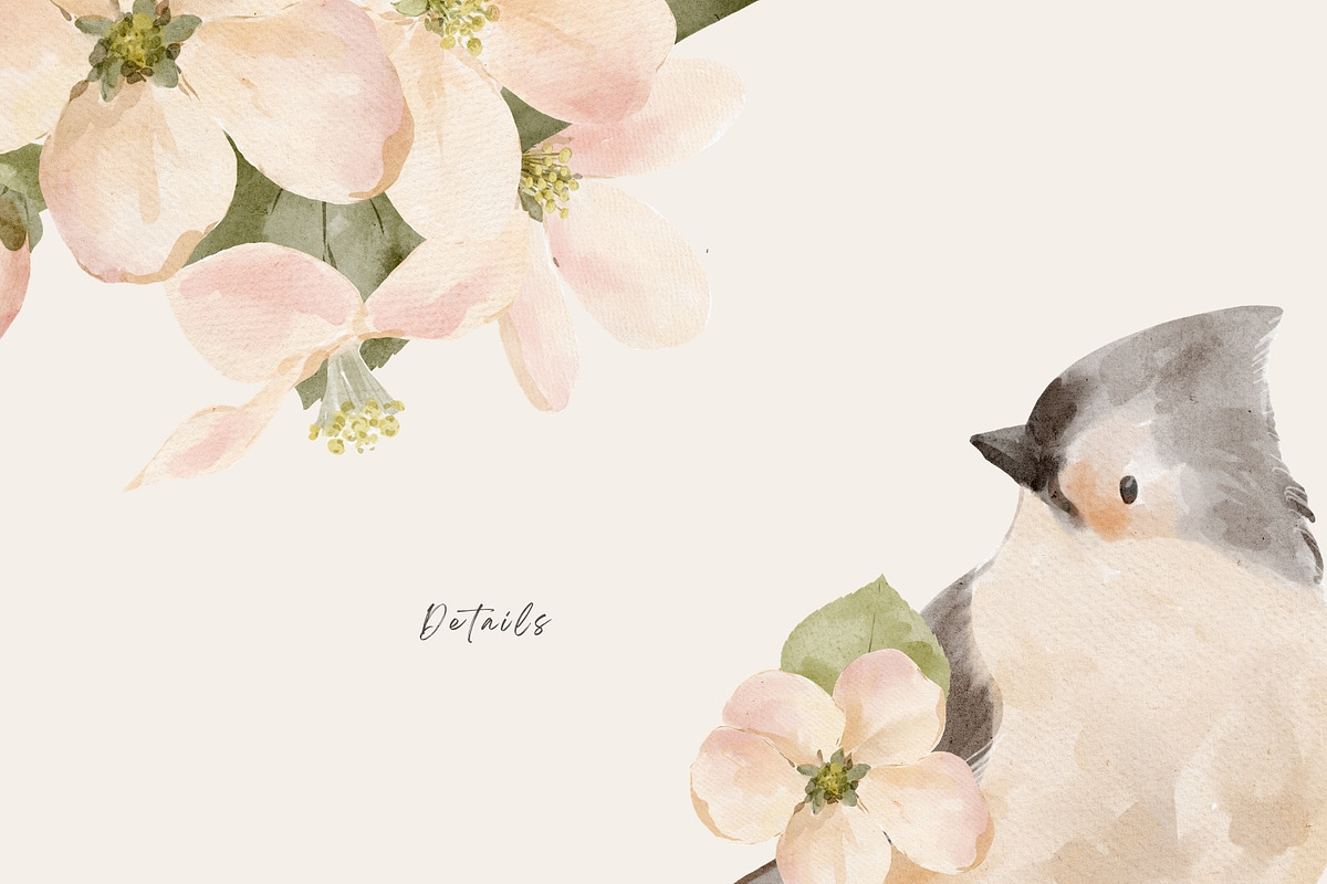 Watercolor Spring Birds & Blossoms, an Animal Illustration by Jenteva Art (Photo 17 of 17)