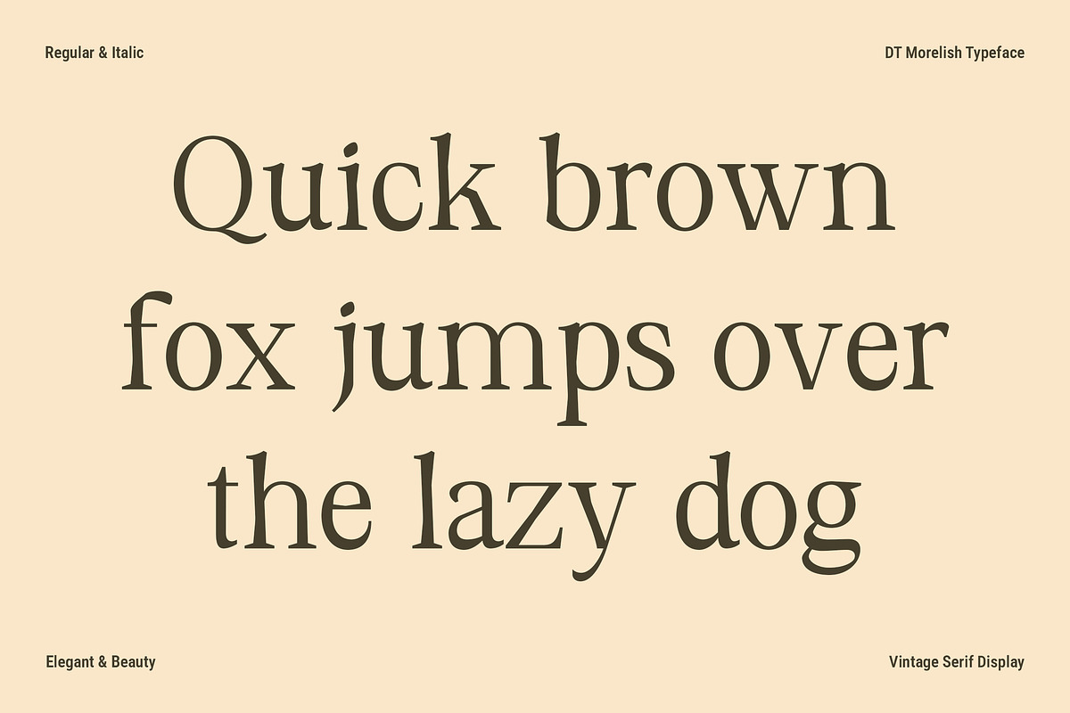 DT Morelish - Serif Display, a Serif Font by Dryy.type (Photo 2 of 12)