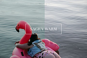Sage, Moody Lightroom & ACR Presets, an Action Add-On by Darling Josephine (Thumbnail 18 of 27)