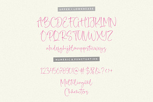 Bloombest Font