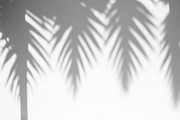 Shadow overlays collection - 42 pics, a Decorative Illustration by Handmadefont (Thumbnail 7 of 11)