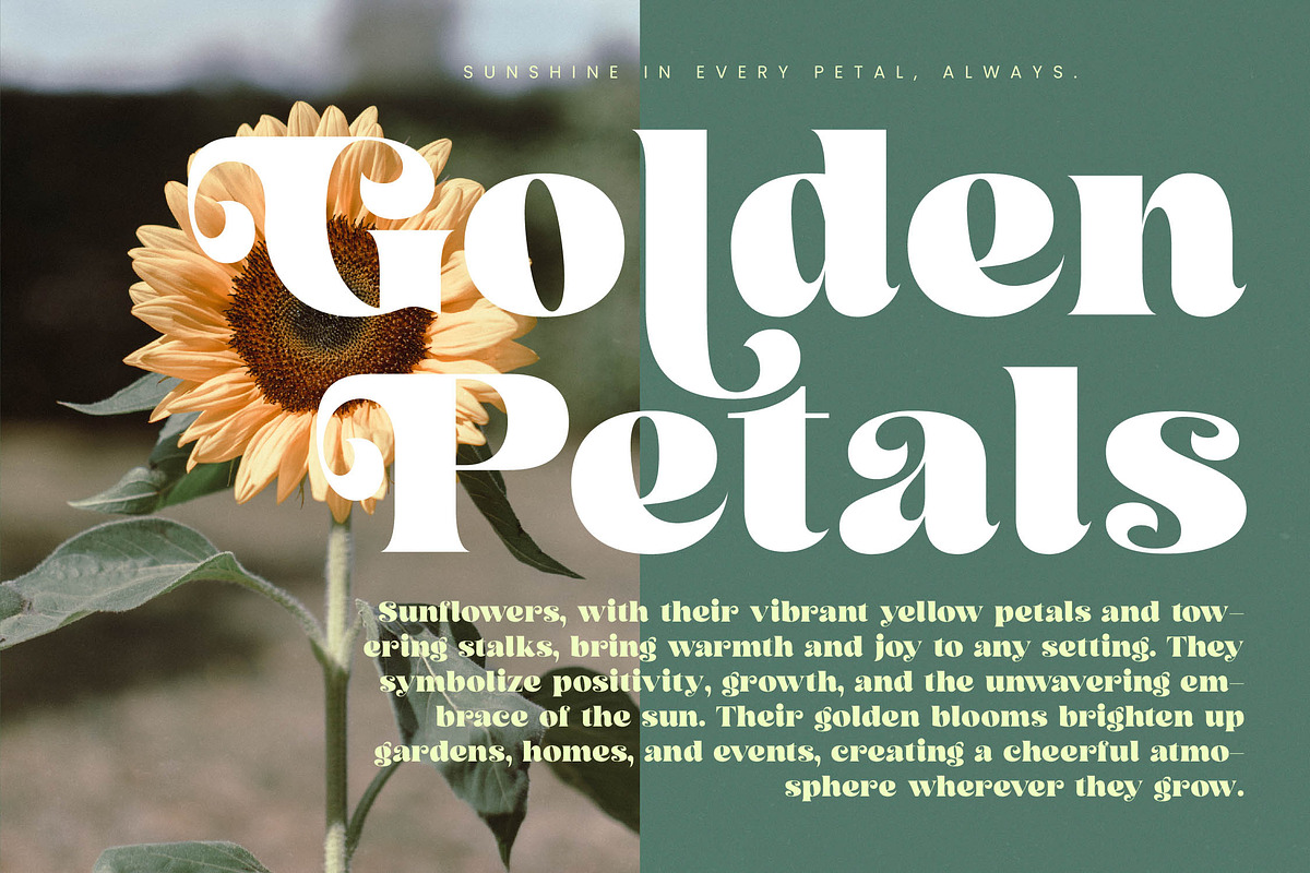 Arilast Kingde Modern Luxury Serif, a Serif Font by timelesstype.co (Photo 16 of 20)