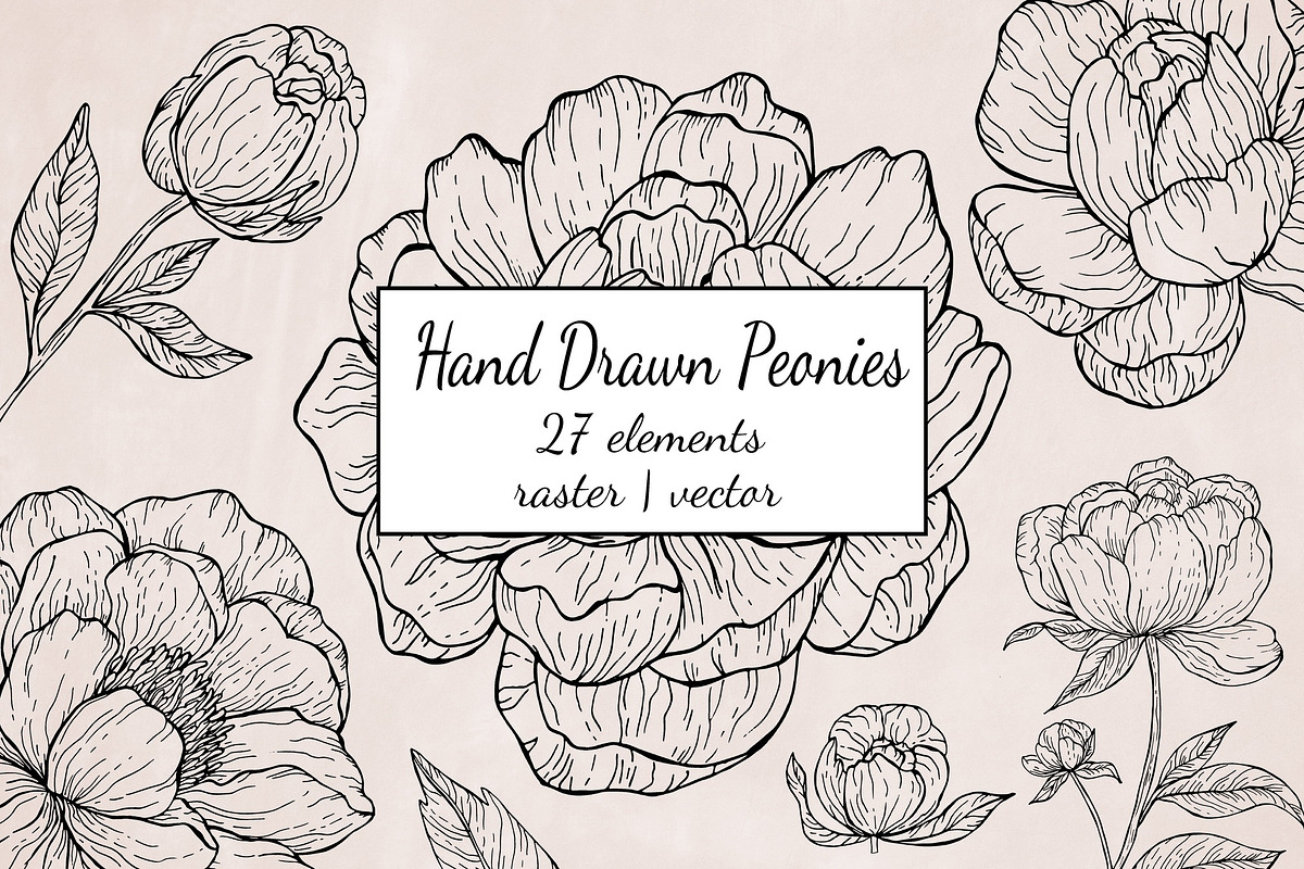 Black Outline Peony Flowers Set, an Illustration by ArtIrisArt (Photo 1 of 13)