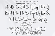 Beautiya, a Handwritten Font by FreshTypeINK (Thumbnail 3 of 8)