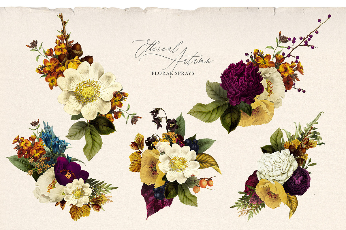 Ethereal Autumn Floral Bouquets, an Illustration by Eclectic Anthology (Photo 12 of 12)