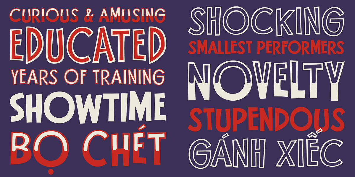 Flea Circus, a Sans Serif Font by One Eyed Squid (Photo 3 of 6)