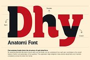 Blink – Bold Slab Serif Typeface, a Slab Serif Font by OV Type (Thumbnail 5 of 10)