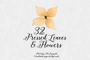 Real Pressed Leaves & Flowers 32, an Object Graphic by Desiree Lange (Thumbnail 1 of 3)