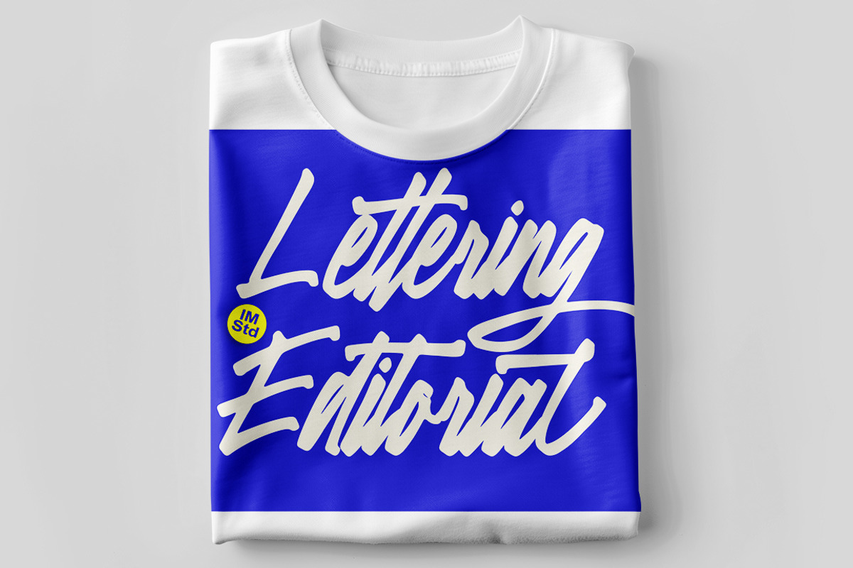Lettering Editorial + Swashes, a Script Font by IM Studio (Photo 9 of 9)