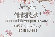 Acrylic Summer Font, a Script Font by DmDesignsStoreArt (Thumbnail 2 of 2)