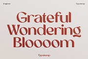 Eugusto Display Typeface, a Sans Serif Font by Typetemp Studio (Thumbnail 4 of 26)