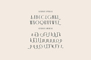 Alison Maskell Modern Serif, a Serif Font by Cruzine (Thumbnail 6 of 8)