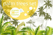 Palm tree collection (Vector), an Object Graphic by ArtOwl (Thumbnail 1 of 10)