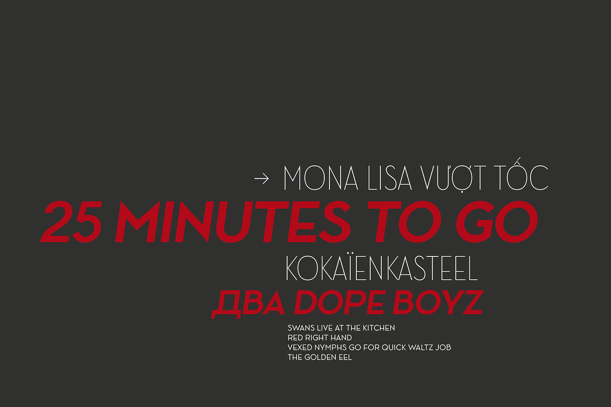 Ace Sans Roman, a Sans Serif Font by FactoryType Studio (Photo 9 of 11)