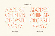 Roselight - Modern Elegant Display, a Serif Font by Qweera Studio (Thumbnail 10 of 12)