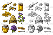 Set Honey, an Illustration by MoreVector (Thumbnail 2 of 5)