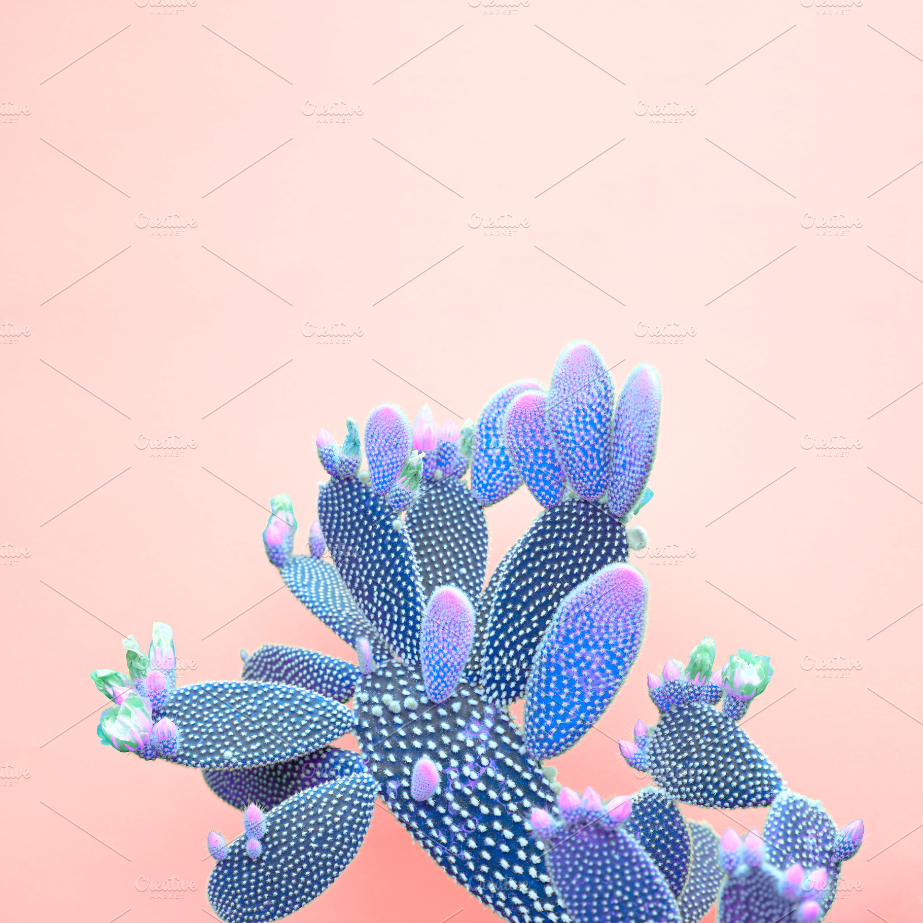 Blue neon cactus minimal fashion ar featuring cactus, blog, and minimal, a Beauty & Fashion Photo by iBear