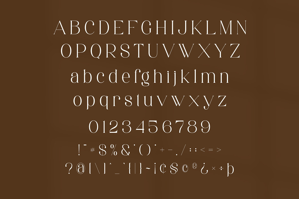 Aretha - Modern Serif Font, a Serif Font by Aqeel_Art (Photo 10 of 12)