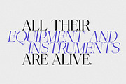 Piloner - 18 Font, a Serif Font by Pista Mova (Thumbnail 5 of 13)