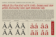 Luciferum - Serif font family, a Serif Font by Artistic & Unique (Thumbnail 8 of 15)