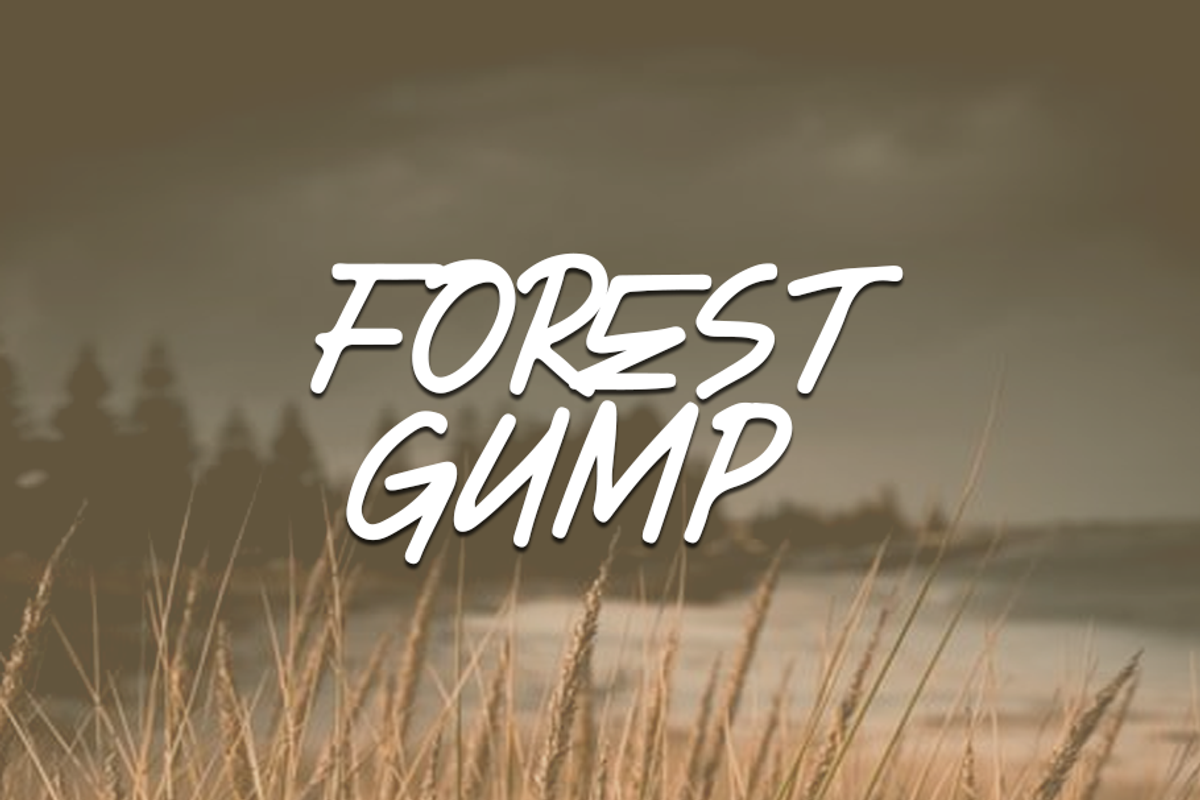 Avanguide, a Font by GlottaTypeface (Photo 2 of 8)
