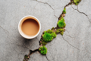 Coffee cup on cracked concrete with moss, a Food & Drink Photo by AlyaAnd
