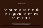 Qilsand Elegant Ligature Serif, a Serif Font by Alfinart (Thumbnail 8 of 10)