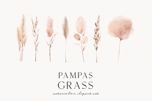 Pampas Grass