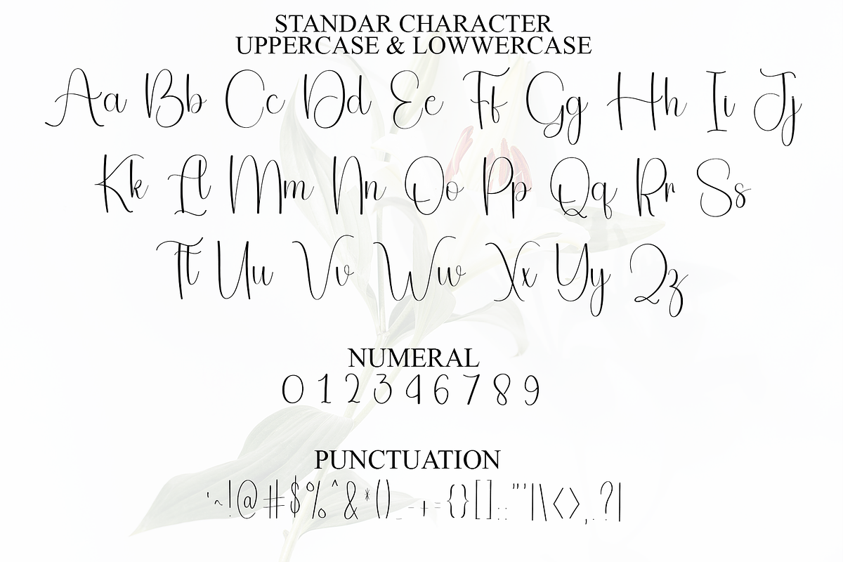 Animal Vacation, a Handwritten Font by InermediaSTUDIO (Photo 3 of 8)