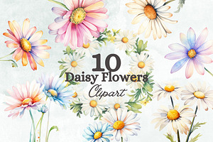 Daisy Flowers Watercolor Clipart Set